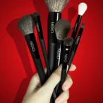 Brushes